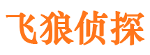 桂阳市私家侦探